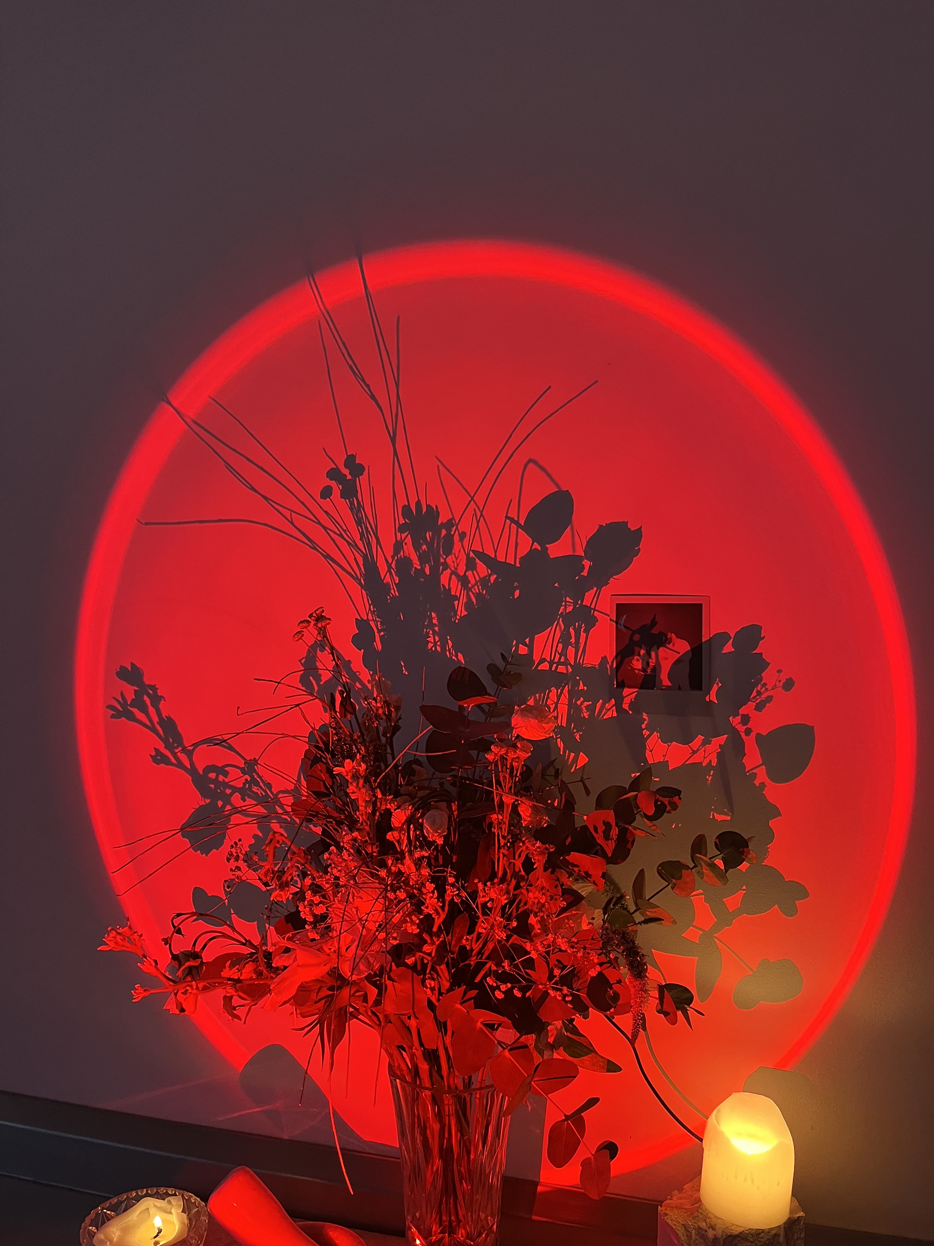 Flowers beneath a red sun projection.